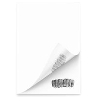 Crab Crew Knuckles Sticky Notes